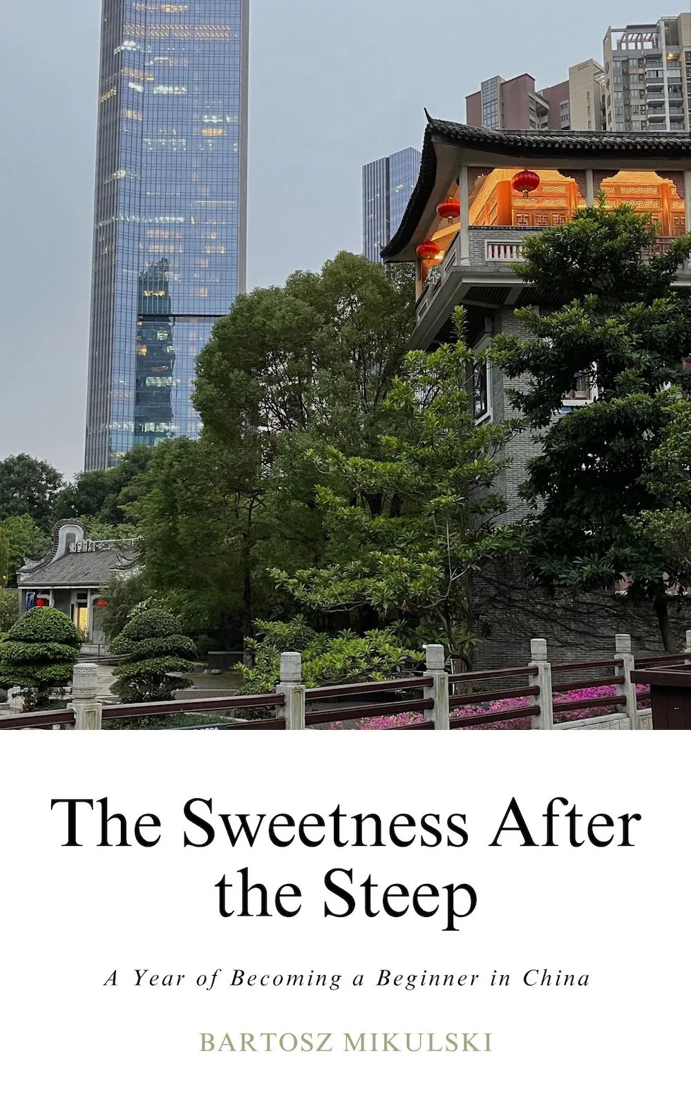 The book cover.